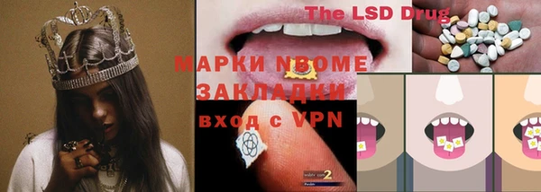 мдпв Новозыбков