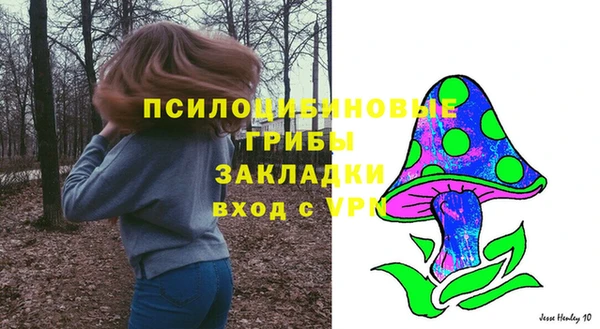 гидропоника Новодвинск