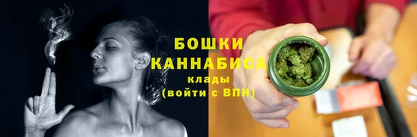 мдпв Новозыбков