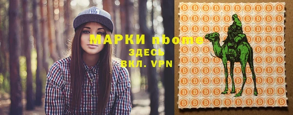 мдпв Новозыбков