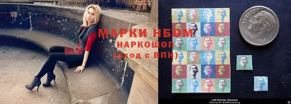 гидропоника Новодвинск