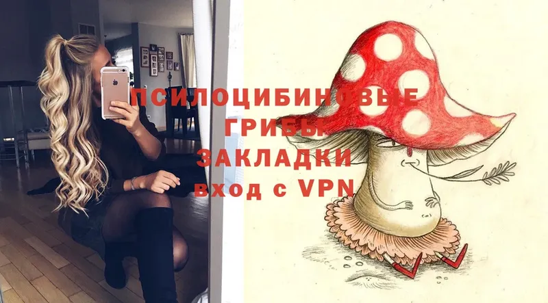 Псилоцибиновые грибы MAGIC MUSHROOMS  закладки  Лениногорск 