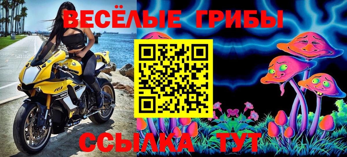 Лениногорск  Псилоцибиновые грибы MAGIC MUSHROOMS  Вход с VPN 